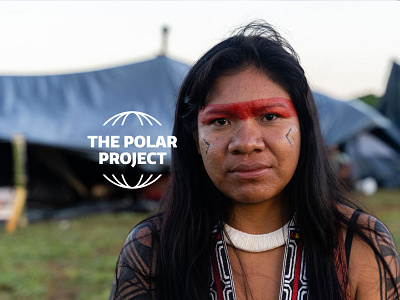 The Polar Project articles branding climate change logo longreads webdesign website
