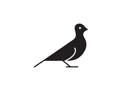 Dove bird dove illustration