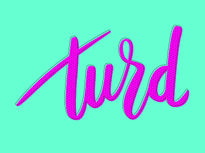 turd green hand lettering handlettering illustrator pink retro turd typography