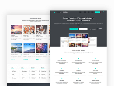 WordPress Listing Manager Theme