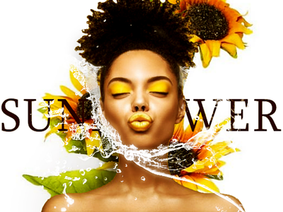 You're a sunflower black design graphics photoshop refreshing sunflower warm