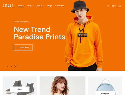 Fashion ecommerce Store animation dropshipping store ecommerce design ecommerce shop landingpage mailchimp shopify web woocommerce wordpress