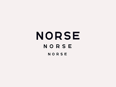 Own Custom font - NORSE caps custom font font geometric scandinavian