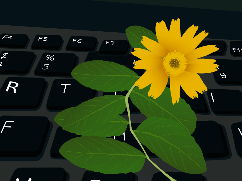 Leaves animation flower keyboard leaves