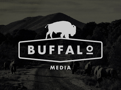 Buffalo Media buffalo logo media