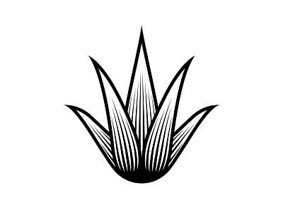 Agave Mark agave engraving icon illustration logo mark tequila