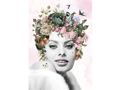 Surreal Sophia Loren adobe photoshop beauty bird collage collage art digital art digital illustration flower illustration photoshop portrait sureal surealism
