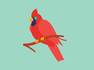 Cardinal bird illustrator indiana
