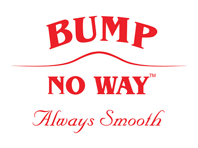 Bump No Way - Logo branding corporate brand identity design graphic design identity illustration illustrator lettering logo type typography vector