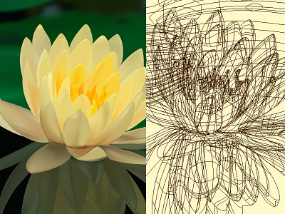 Adobe illustrator-Lotus-Grid lines adobe illustrator made with