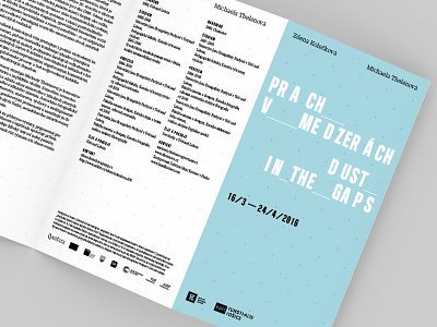 Dust In The Gaps leaflet