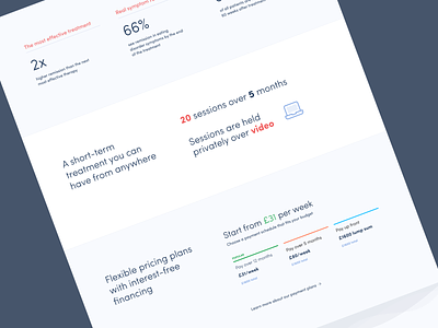 Detail of campaign landing page landing page mental health pricing stats typography