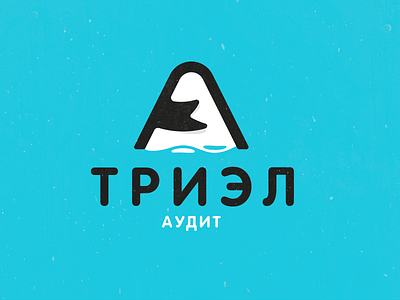 Logotype for audit company