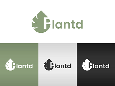 Plantd logo concept brand branding green leaf logo logodesign logotype monstera nature plant plantcare
