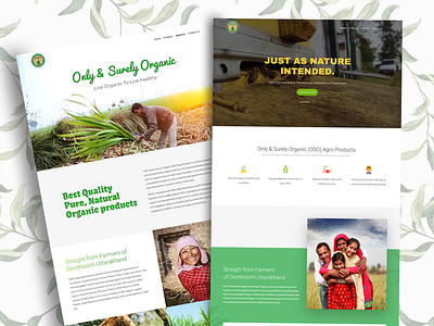 Website Design for Organic Food Brand