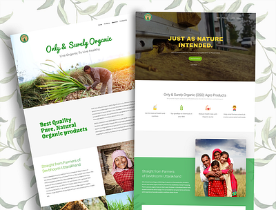 Website Design for Organic Food Brand branding design illustration illustrator landingpage typography ui ux web website website design