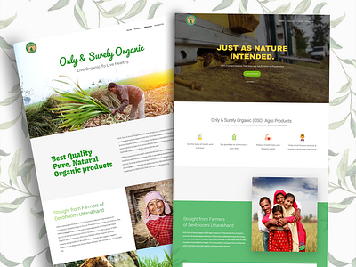 Website Design for Organic Food Brand