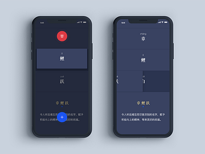 Nicename 甄名 APP 设计 (WIP) adobe xd app blue chinese dark name red xd