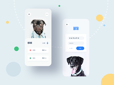 Pet APP Design Concept