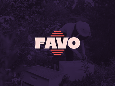 Favo Logotype