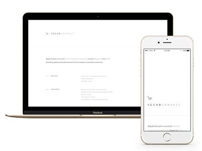 Vegob Consult - New website minimalist new simple space website white