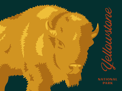 Yellowstone animal buffalo illustration national park nature outdoors park yellowstone