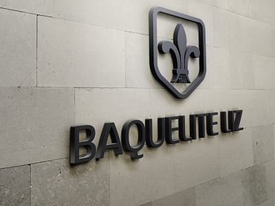 BAQUELITE_logo branding design logo