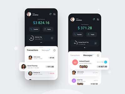 Travel Wallet App