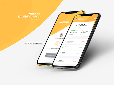 Moneymoon Wallet App app apple bank design ios money pay payment ui wallet