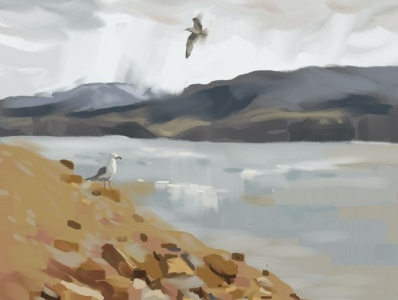 Horsetooth Hunters clouds conceptart digital painting environment art horsetooth reservoir lakes landscape seagulls wildlifeart