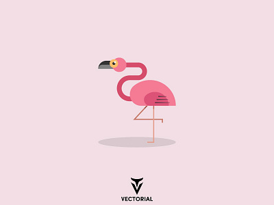 Pink Flamingo branding design faridhuseynli flamingo flat flat design flatdesign icon illustration illustrator logo tutorial vector