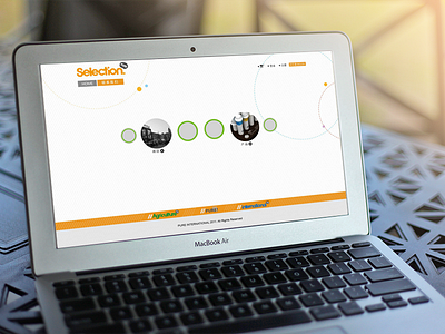 selection web design