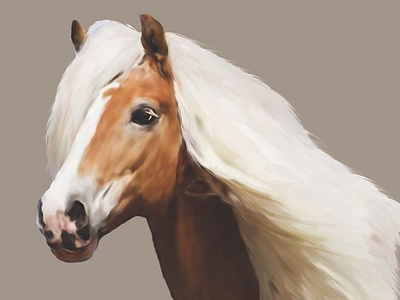 Horse Digital Painting