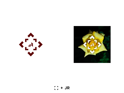 Logo for a Photographer design flowers graphicdesign icon logo logo design logodesign logomark mark photographer yellow