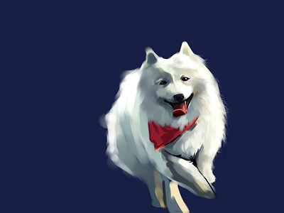 dog illustration