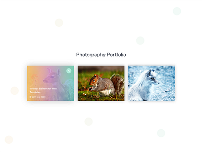Portfolio Element - 3 for Web Templates elements portfolio portfolio grid uidesign uidesigns