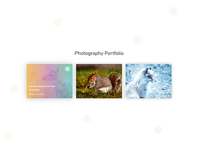 Portfolio Element - 3 for Web Templates