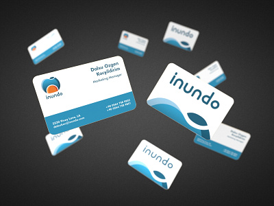 Inundo Business Card - Day 6