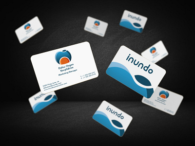 Inundo Business Card - Day 6