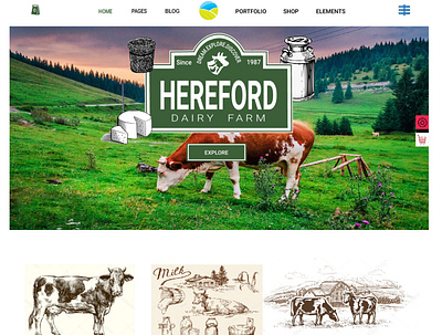 Hereford Dairy Farm design illustration illustrator photoshop poster