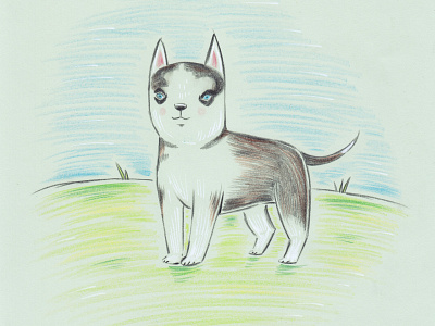 dog animal blue eyes bo danique bodanique dog dog illustration drawing pencil