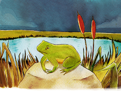 Froggy fairytale frog narrative reed story