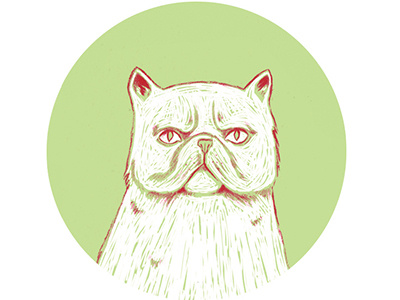 moody persian cat cat circle design grumpy illustratie illustration kat moody moustache persian