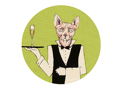 Hairless Cat Butler alcohol animal beer beercoaster butler cat champagne design drinks green illustration wine