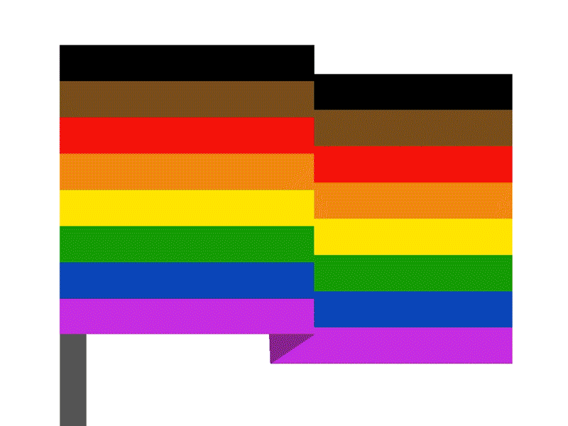 P Flag/s flags gay lgbtqia pride