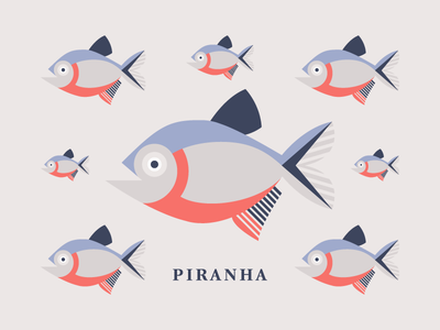 Piranha illustration