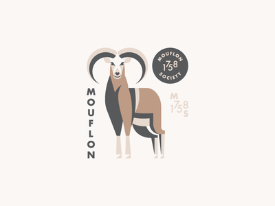 Mouflon Society branding illustration logo