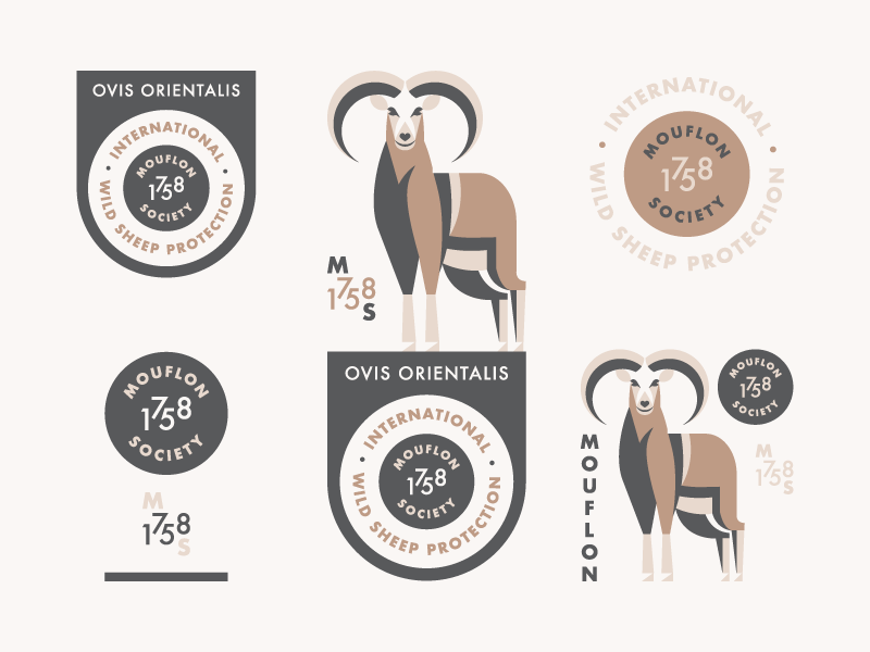 Mouflon (Branding Explorations) illustration badge logo branding