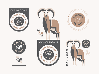 Mouflon (Branding Explorations) badge branding illustration logo