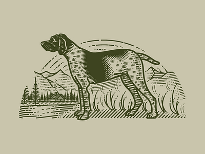 German Shorthaired Pointer (Molly Jogger)